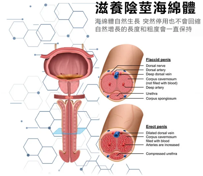 1755070124846402.png 企业微信截图_17463548636069.png